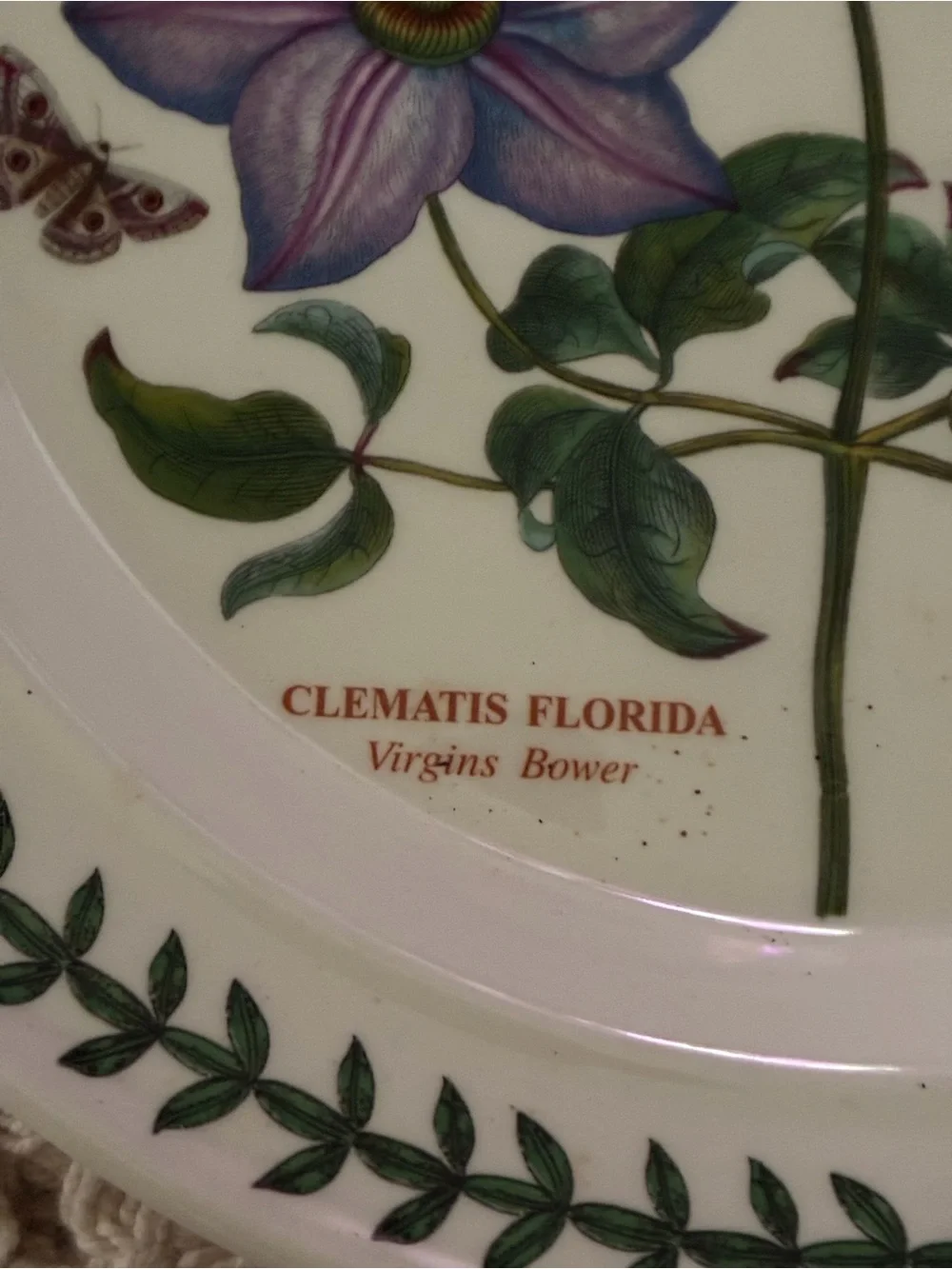 Portmeirion Botanic Garden 10.5” Dinner Plate Clematis Florida/ Virgin Bower